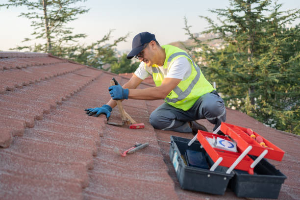 Roof Gutter Cleaning in North Richland Hills, TX